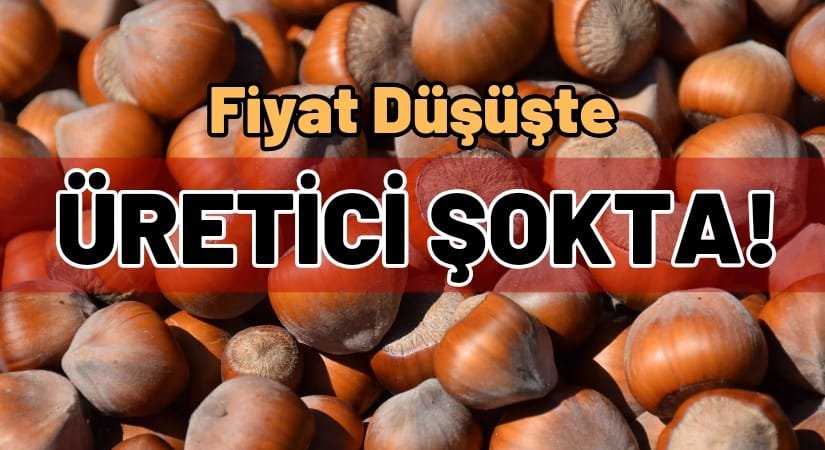 Ordu’da Bugün Fındık Kaç TL Oldu!