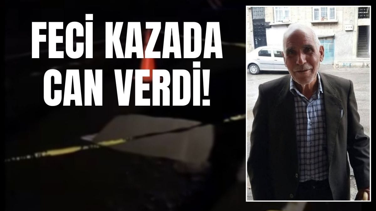 Şanlıurfa’da Feci Kaza: 70 Yaşındaki Adam Hayatını Kaybetti