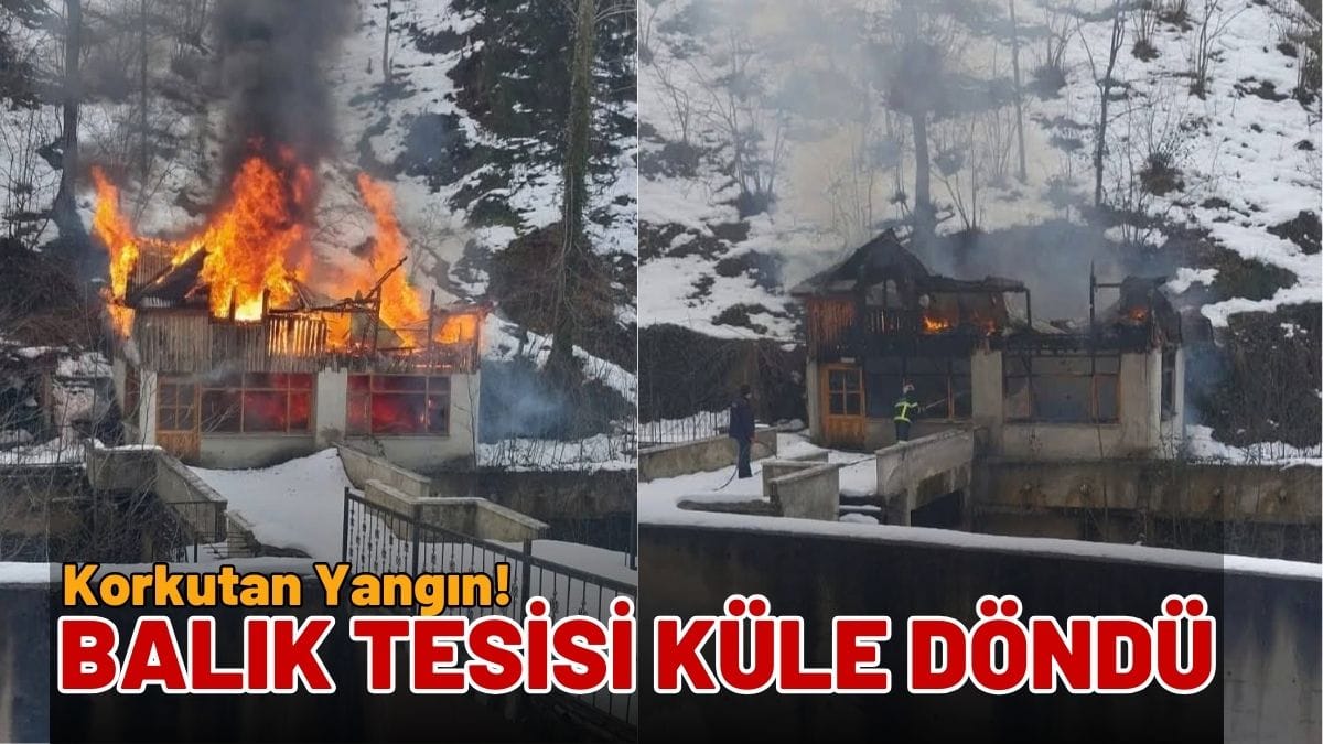 Korkutan Yangın: Balık Çiftliği Küle Döndü