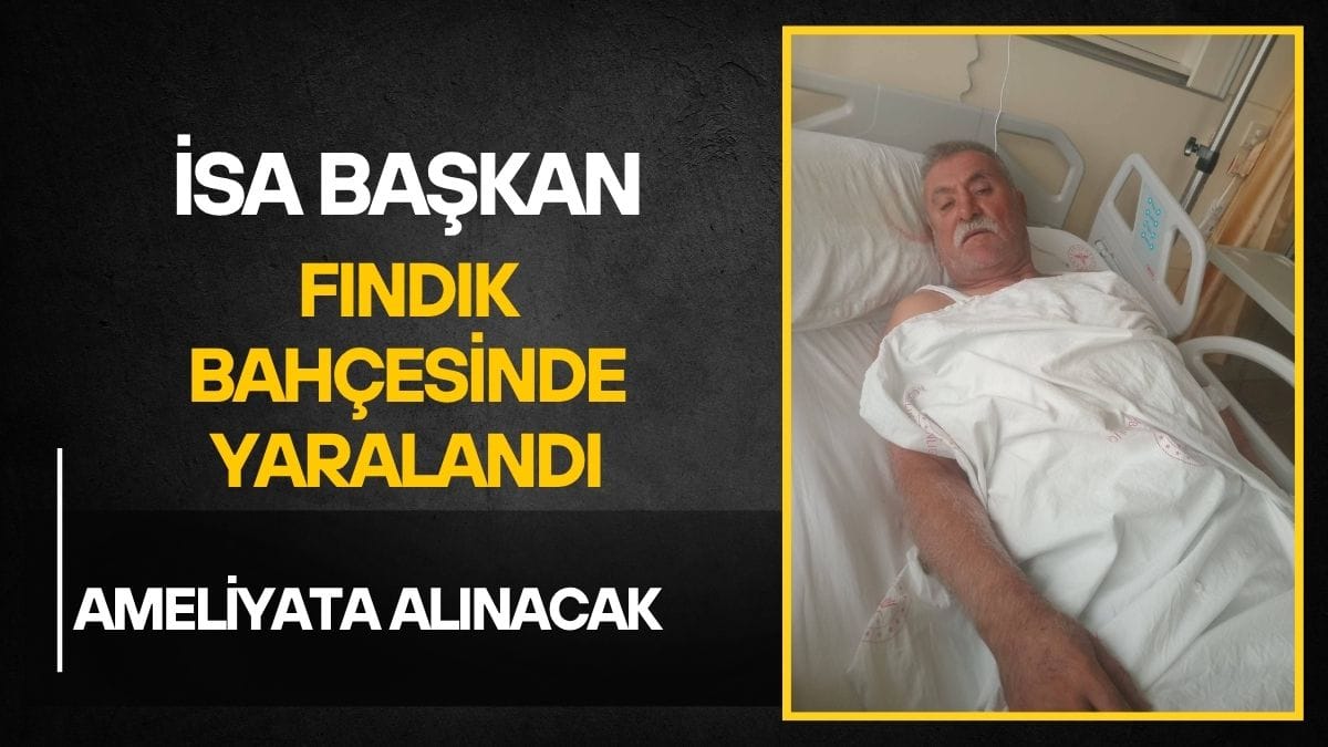 Yeni Parti İlçe Başkanı İsa Yurt, Fındık Bahçesinde Yaralandı!