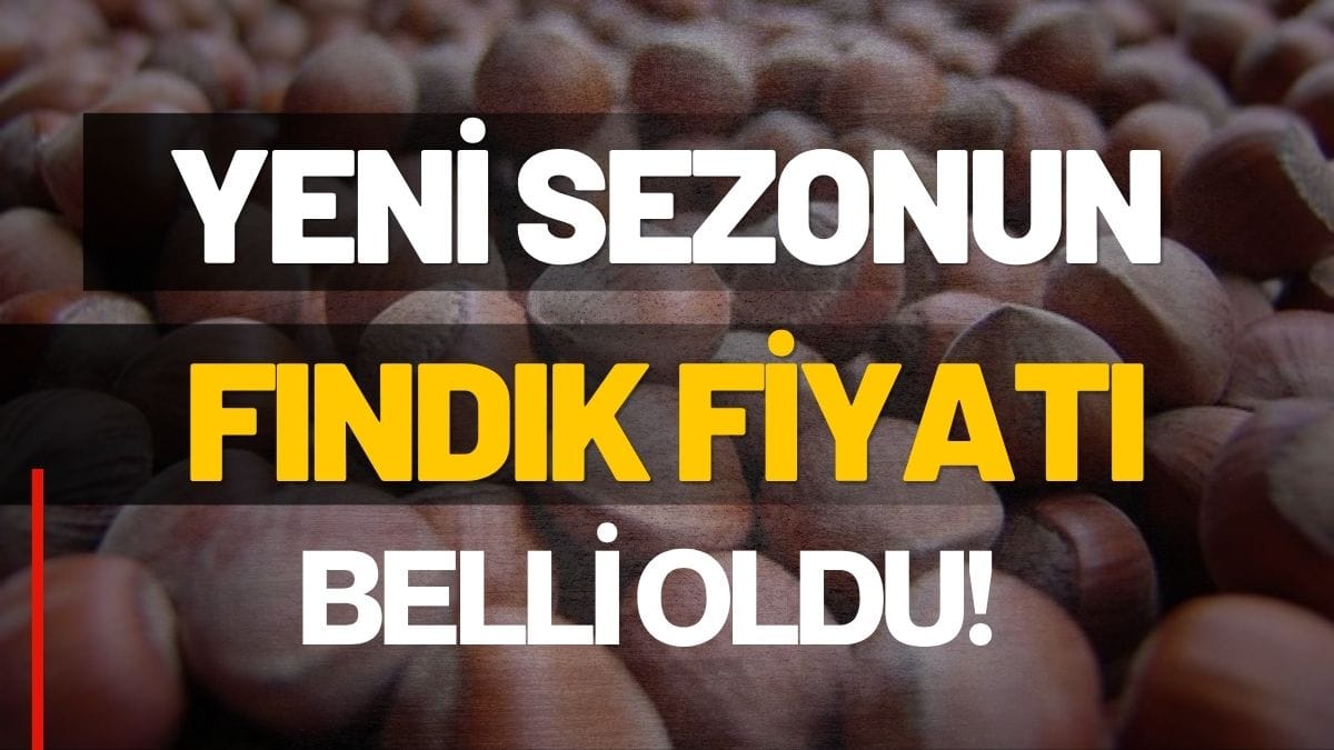 İşte Yeni Fiyat! Ordu’da Yeni Sezonun Fındık Fiyatı Belli Oldu!