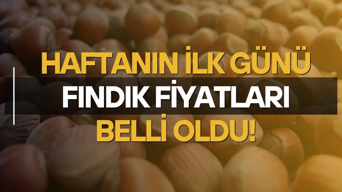 Ünye’de Yeni Haftanın Fındık Fiyatı Belli Oldu: Serbest Piyasada Fındık kaç tl?