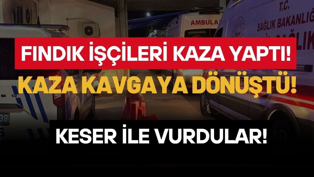Ordu’da Kaza Sonrası Kanlı Kavga: Başına Keser Darbesi Alan 1 Kişi Yaralandı